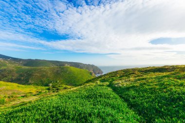 güzel bir güneşli gün ve dağlarda okyanus kıyısında bir yeşil çimen
