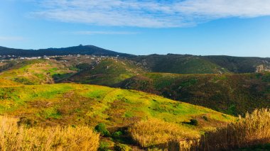 Pitoresk dağlar dağ bitki örtüsü ile kaplı bir