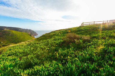 uçsuz bucaksız Okyanusu kıyısında güzel dağlar.
