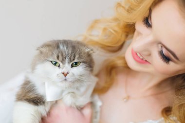 Papyonlu tüylü kedi kameraya bakar ve gelin tutar.