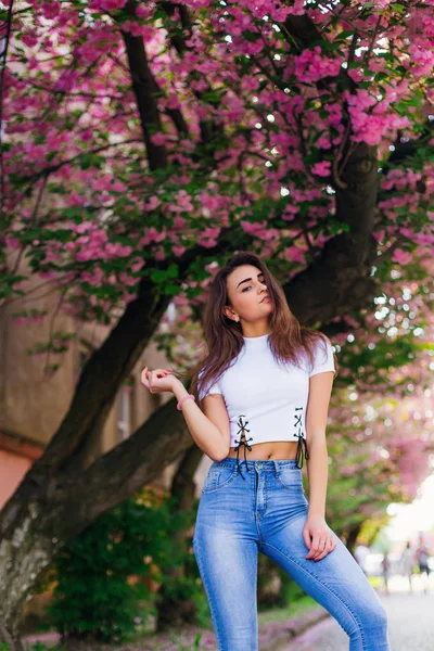 A girl in stylish clothes poses near japanese cherry blossom tre — 스톡 사진