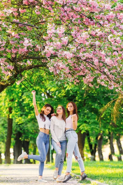 Stylish girls posing in the park with japanese cherry blossom tr — 스톡 사진
