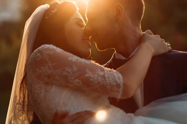 The groom holds the bride in her arms and they kiss. Evening sun — Stock Photo, Image