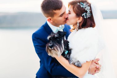 Yeni evliler öpüşüyor ve kollarında bir köpek tutuyorlar. Mini schnauzer. 