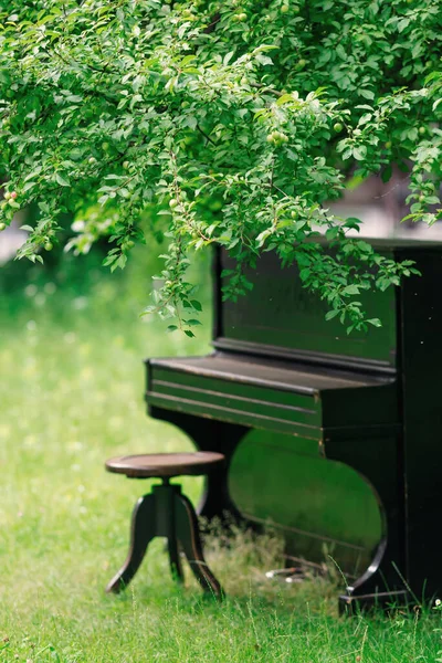 black old grand piano near a tree with green leaves.