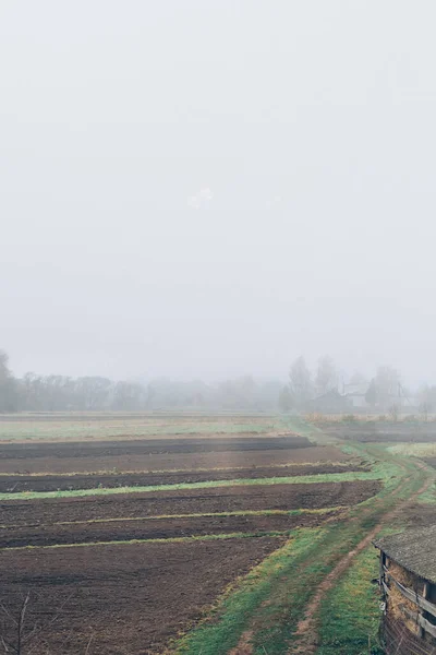 Nebbia Sul Vecchio Campo Campagna — Foto Stock