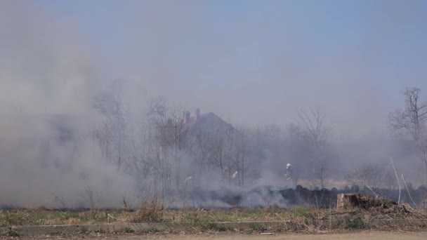Herbe de feu près de la forêt. Une épaisse fumée et le feu menacent la nature et la ville. Combat des pompiers 