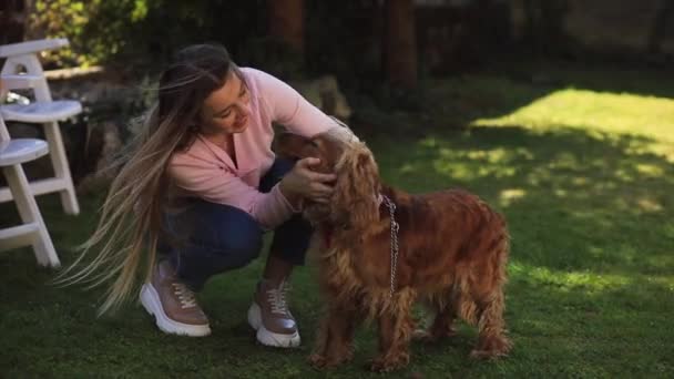 快乐快乐的女人爱抚和抚摸一只长着长耳朵的棕色狗 — 图库视频影像