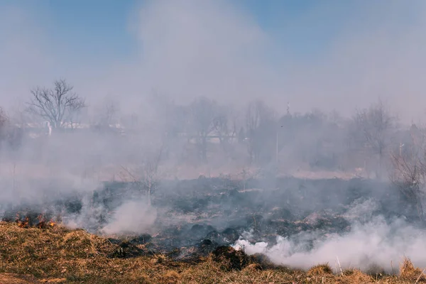 Fuego Estepa Hierba Está Ardiendo Destruyendo Todo Paso — Foto de Stock