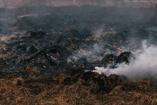 Fuego Quema Hierba Campo Cerca Del Bosque Con Mucho Humo — Foto de Stock