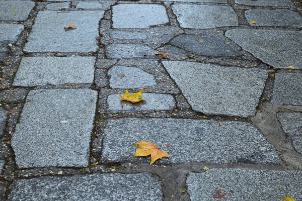 Taş kaldırım dokusu arkaplanı