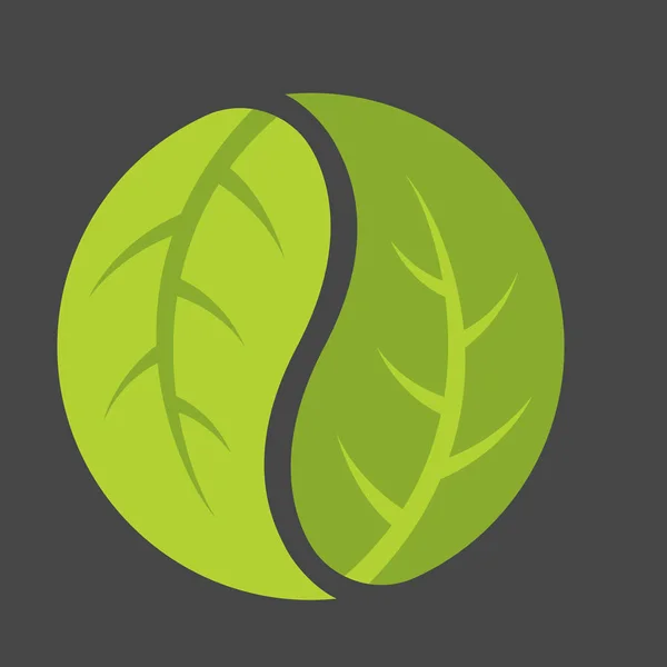 Leaf Yin Yang Logo — Stock Vector
