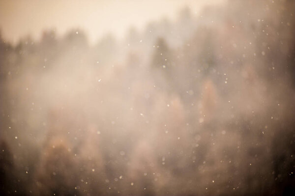 Snowflakes background with blurred forest