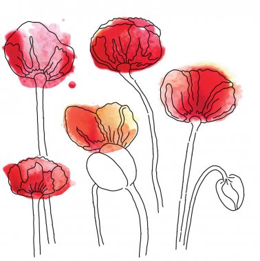 Kırmızı haşhaş buketi Eskiz sanat satır renkli vektör