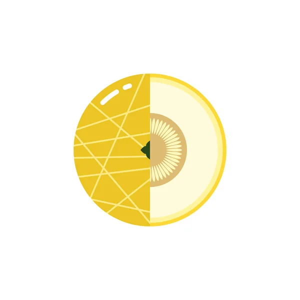 Sphère de fruits melon avec demi-tranche logo, icône plate conception concept de gabarit isolé sur fond blanc — Image vectorielle