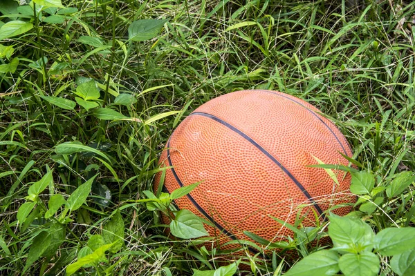 Basketball Ball Lying Weed — Stock Photo, Image