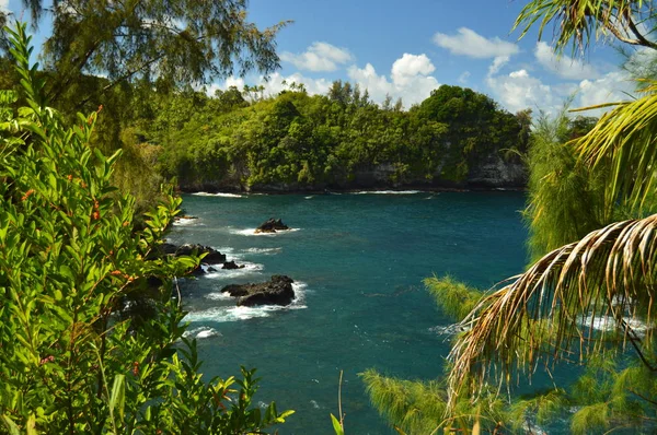 Csodálatos Darab Művészet Pecsét Buddha Hawaii 2017 Július Big Island — Stock Fotó