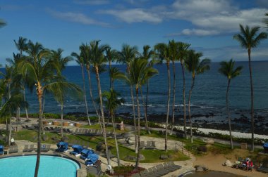 Palmiye ve havuzları Hawaii. 21 Temmuz 2017.