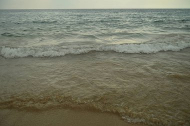 Plaj ve Palms Hawaii