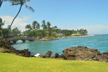 Deniz ve Palms Hawaii