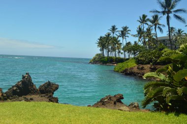 Deniz ve Palms Hawaii
