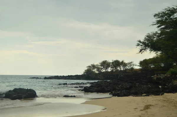 Praia Palmas Havaí — Fotografia de Stock