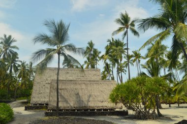 Hawaii Yerli köy evi