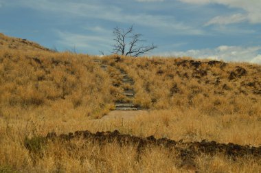 Hawaii Yerli yerleşim