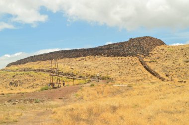 Hawaii Yerli yerleşim