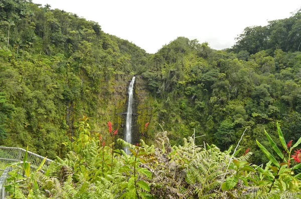 Waterfalls Hawaii July 2017 Big Island Hawaii Usa Eeuu — Stock Photo, Image
