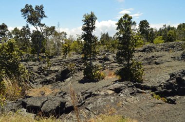 Volkanik kaya oluşumları ile sönmüş bir volkan. 14 Temmuz 2017. Büyük ada, Hawai, ABD. Eeuu.