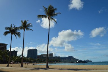 Waikiki Beach güzel manzaralarını etkileyici palmiye ağaçları ile... Oahu, Hawaii, ABD, Eeuu.