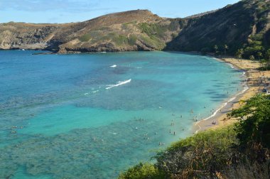 Büyük resifler Ile Honolulu Beach değerli balık dolu. 10 Temmuz 2017. Oahu, Hawaii, ABD, eeuu.