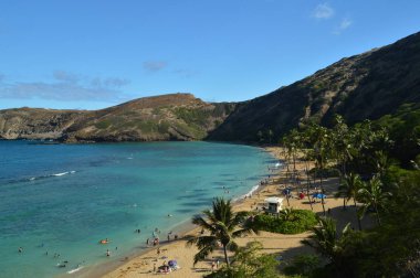 Büyük resifler Ile Honolulu Beach değerli balık dolu. 10 Temmuz 2017. Oahu, Hawaii, ABD, eeuu.