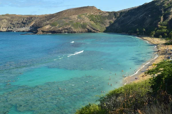 Playa Honolulu Con Grandes Arrecifes Llenos Peces Preciosos Julio 2017 — Foto de Stock