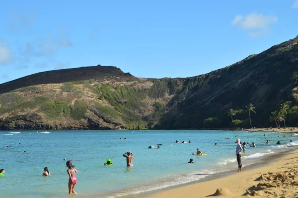 Plaża Honolulu Dużymi Koralami Pełnymi Cennych Ryb Lipca 2017 Oahu — Zdjęcie stockowe