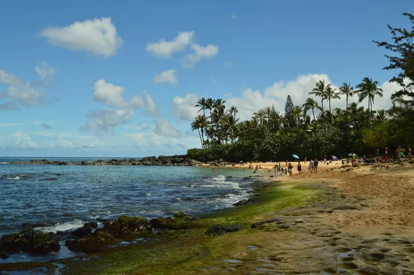 Mesés Zöld Homok Strand Tele Teknősök Július 2017 Oahu Hawaii — Stock Fotó