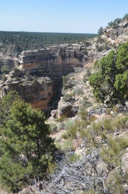 Grand Canyon ve Colorado Nehri. Hermist dinlenme rota. Jeolojik oluşumlar. 22 Haziran 2017. Büyük Kanyon, Arizona, ABD. Eeuu.