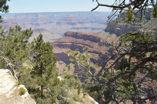 Gran Cañón Del Río Colorado Ruta Del Descanso Hermista Formaciones — Foto de Stock