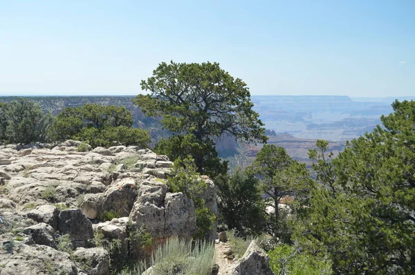 Grand Canyon Del Fiume Colorado South Kaibab Trailhead Formazioni Geologiche — Foto Stock