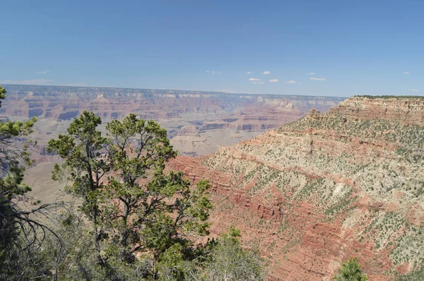 Grand Canyon Colorado River South Kaibab Trailhead Geological Formations June — Stock Photo, Image