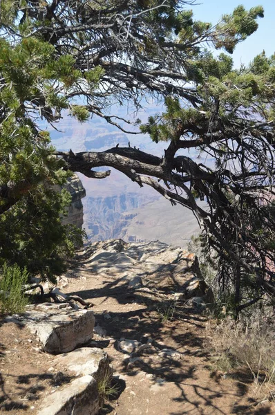 Grand Canyon Del Fiume Colorado South Kaibab Trailhead Formazioni Geologiche — Foto Stock