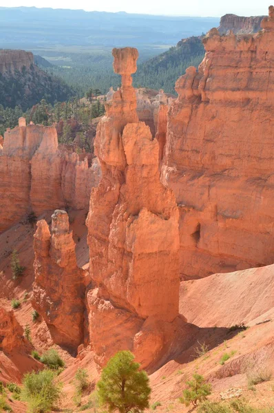 Thor Hammers Bryce Canyon Formations Hoodos Inglês Geologia Viajar Natureza — Fotografia de Stock