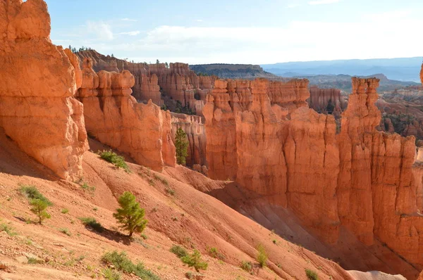 Formazioni Meravigliose Hodes Nel Bryce Canyon Geologia Viaggio Natura Giugno — Foto Stock