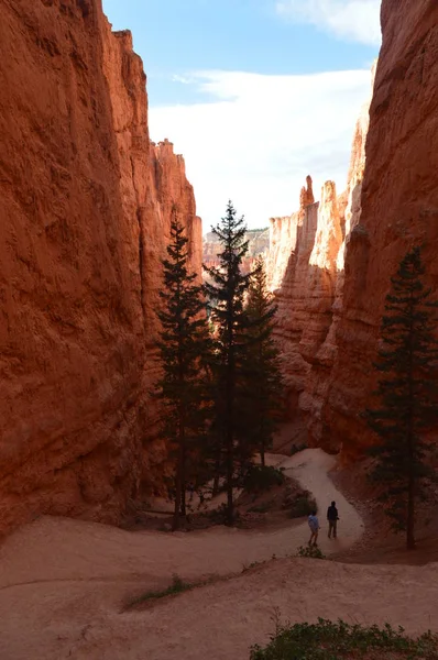 Gola Maestosa Nel Bryce Canyon Formazioni Hoodos Geologia Viaggio Natura — Foto Stock