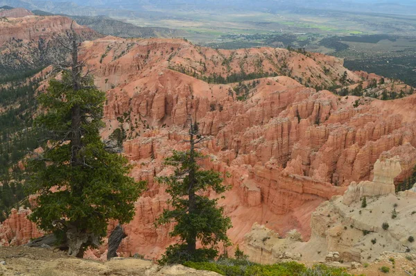 Formazioni Meravigliose Hodes Nel Bryce Canyon Geologia Viaggio Natura Giugno — Foto Stock