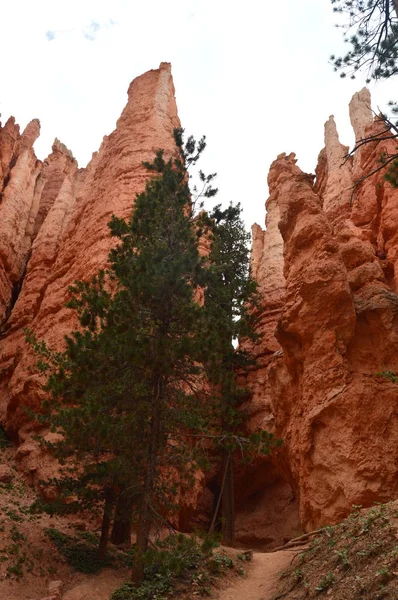 Les Hauts Murs Trous Dans Bryce Canyon Formations Trous Géologie — Photo