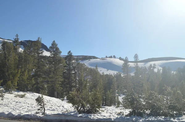 Сонора Пройти Повністю Snowy Деякими Вражаючий Вид Національний Парк Йосеміті — стокове фото