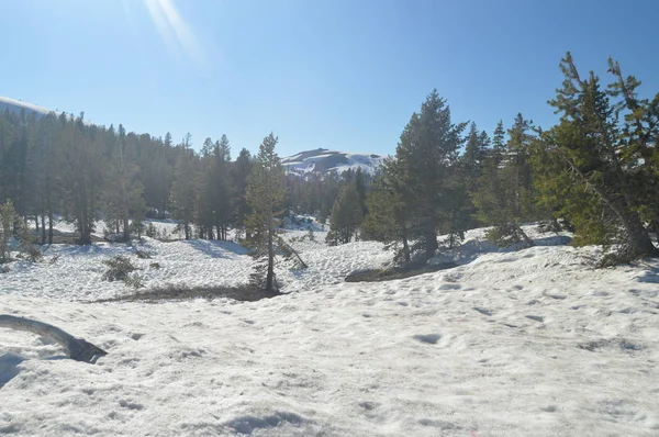 Sonora Passera Helt Snöiga Med Några Imponerande Vyer Yosemite National — Stockfoto