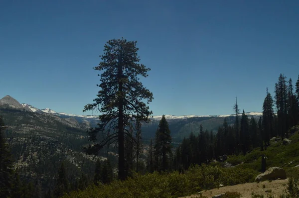 Wspaniałe Widoki Las Najwyższej Części Jednej Gór Parku Narodowego Yosemite — Zdjęcie stockowe